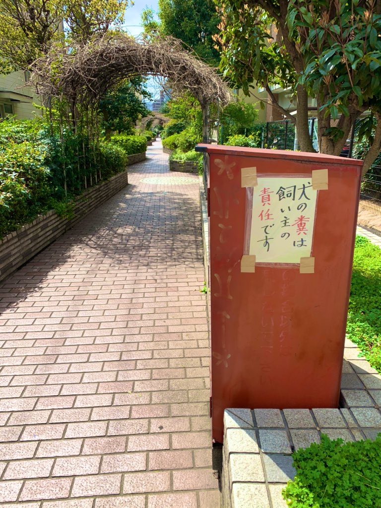 S__253845509