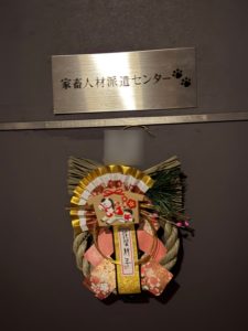 photo-output